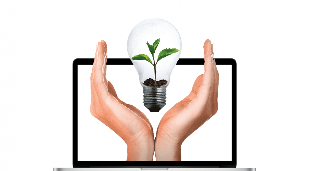 startup guidance